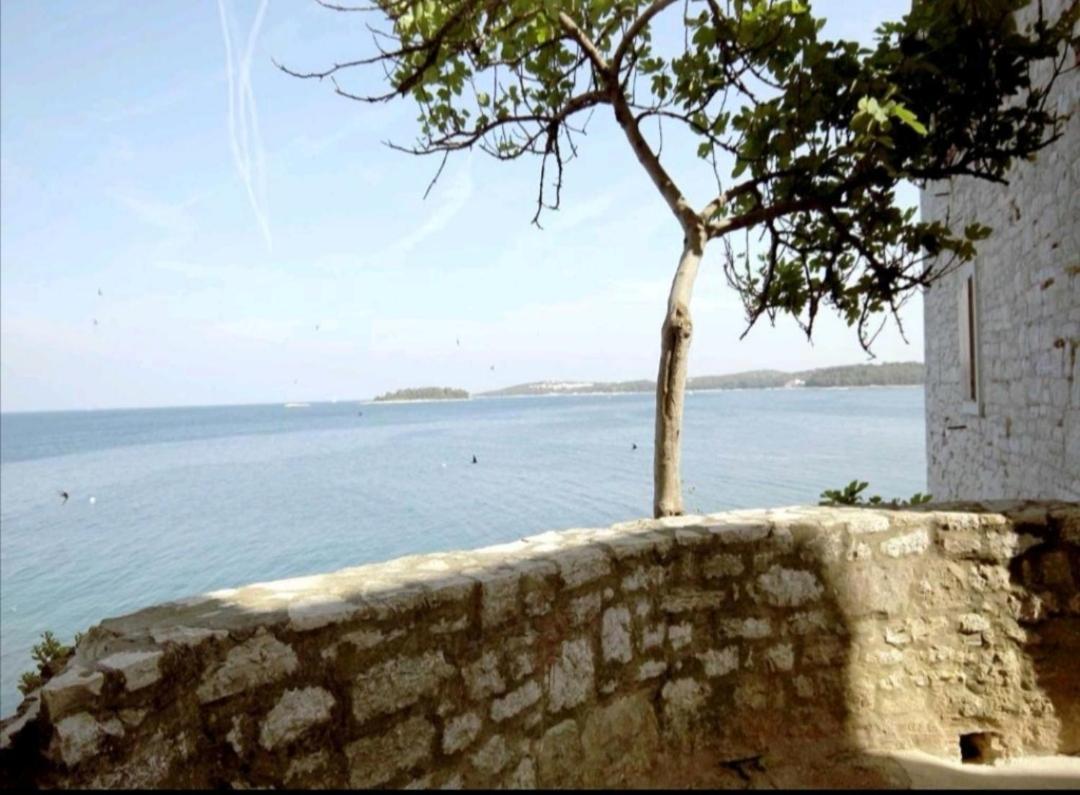 Apartment Martin - 10 Mt To The Beach Rovinj Exterior foto